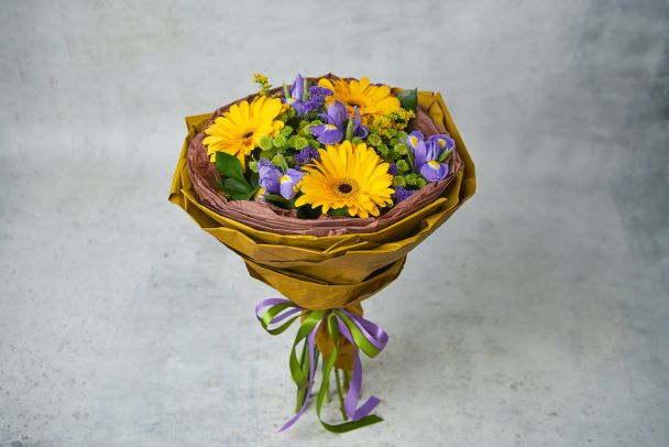 Поля Прованса