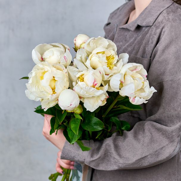 Букет из 9 пионов