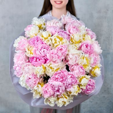 Букет из 51 пиона