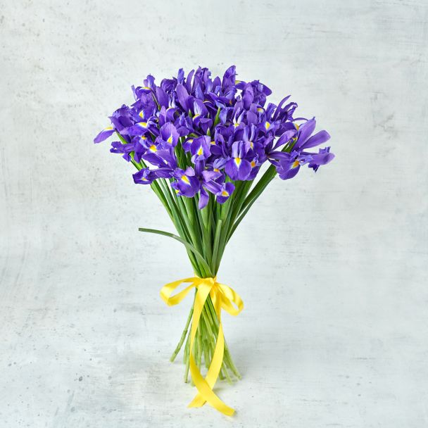 Букет из 15 ирисов